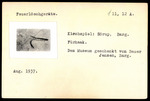 Vorschaubild von Volkskundekartei Paul Selk und Gustav Friedrich Meyer – Fotosammlung - "Feuerlöschgeräte"